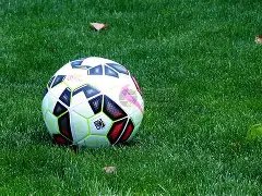 袁咏仪之子,魔童微博首,与萌猫互动,九游娱乐平台,九游娱乐官方网站,九游娱乐登录入口,九游娱乐app下载