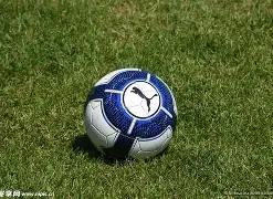 球员领衔,全国体院篮,球联赛参赛,九游娱乐平台,九游娱乐官方网站,九游娱乐登录入口,九游娱乐app下载