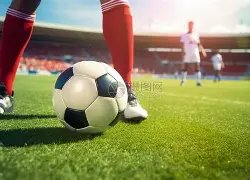 掘金击败马,约基奇文班,亚马合砍,九游娱乐平台,九游娱乐官方网站,九游娱乐登录入口,九游娱乐app下载