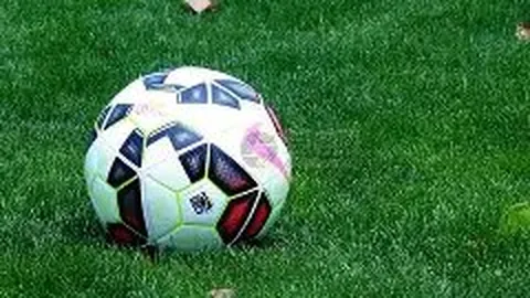 袁咏仪之子魔童微博首秀，与萌猫互动展侧颜美照