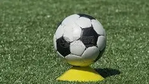 九游娱乐 资讯 094051 stt